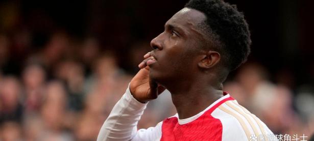 半岛体育投注-包含南安普顿引援不利，球队实力有待提升的词条