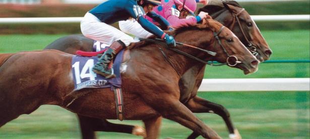 半岛体育vip注册-爱尔兰选手在马术比赛中获得好成绩