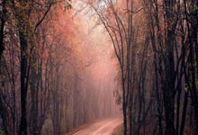 半岛体育入口-肯尼亚女足队展现团队力量赢家