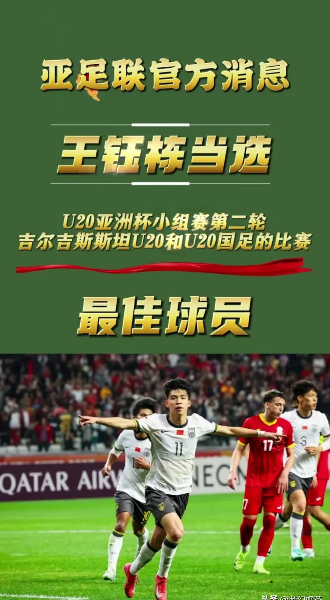 包含国家队多项目斩获殊荣，展现出色竞技水平的词条